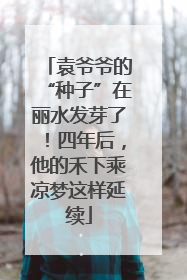 袁爷爷的“种子”在丽水发芽了！四年后，他的禾下乘凉梦这样延续