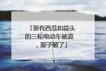 装有西瓜和蒜头的三轮电动车被盗，案子破了