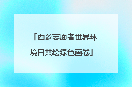 西乡志愿者世界环境日共绘绿色画卷