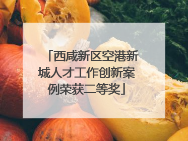 西咸新区空港新城人才工作创新案例荣获二等奖