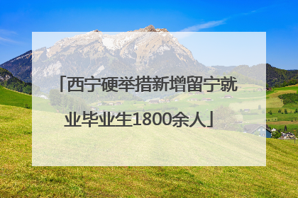 西宁硬举措新增留宁就业毕业生1800余人