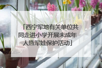 西宁军地有关单位共同走进小学开展未成年人暨军娃保护活动