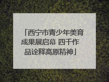西宁市青少年美育成果展启幕 四千作品诠释高原精神