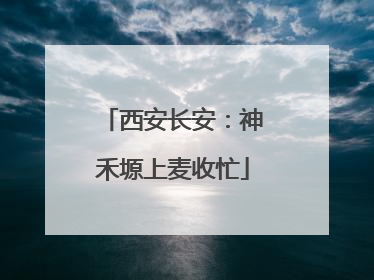西安长安：神禾塬上麦收忙
