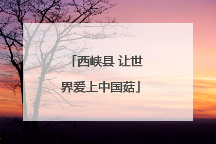 西峡县 让世界爱上中国菇