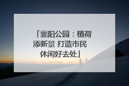 襄阳公园：植荷添新景 打造市民休闲好去处