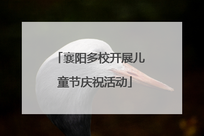 襄阳多校开展儿童节庆祝活动