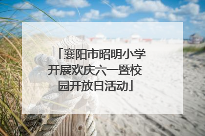 襄阳市昭明小学开展欢庆六一暨校园开放日活动