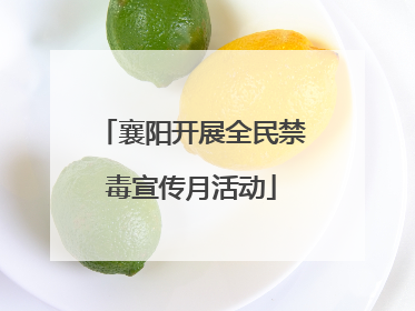 襄阳开展全民禁毒宣传月活动