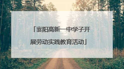 襄阳高新一中学子开展劳动实践教育活动