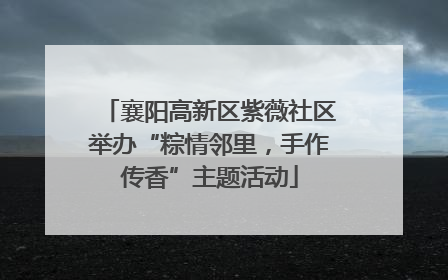 襄阳高新区紫薇社区举办“粽情邻里，手作传香”主题活动