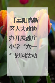 襄阳高新区人大政协办开展魏庄小学“六一”慰问活动