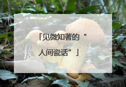 见微知著的“人间瓷话”