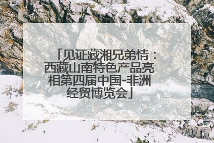 见证藏湘兄弟情：西藏山南特色产品亮相第四届中国-非洲经贸博览会