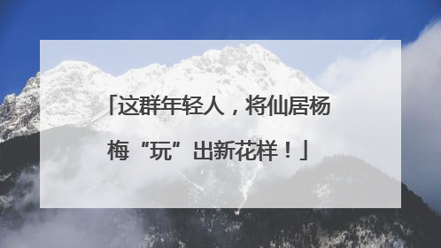 这群年轻人，将仙居杨梅“玩”出新花样！