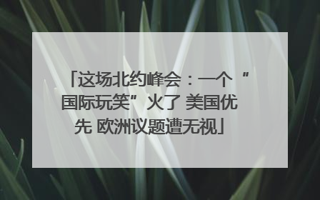 这场北约峰会：一个“国际玩笑”火了 美国优先 欧洲议题遭无视