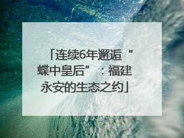 连续6年邂逅“蝶中皇后”：福建永安的生态之约