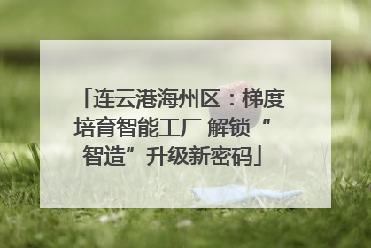 连云港海州区：梯度培育智能工厂 解锁“智造”升级新密码