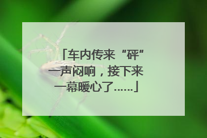 车内传来“砰”一声闷响，接下来一幕暖心了……