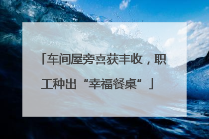 车间屋旁喜获丰收，职工种出“幸福餐桌”