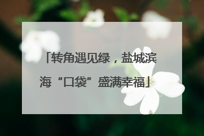 转角遇见绿，盐城滨海“口袋”盛满幸福