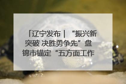 辽宁发布｜“振兴新突破 决胜勇争先”盘锦市锚定“五方面工作”力争全年地区生产总值增长5.5%左右