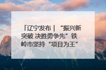 辽宁发布｜“振兴新突破 决胜勇争先”铁岭市坚持“项目为王”推进经济高质量发展