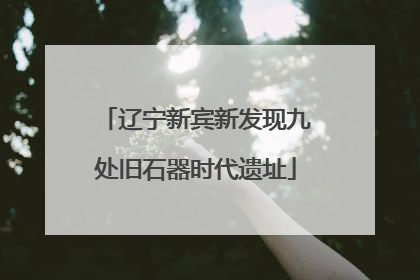 辽宁新宾新发现九处旧石器时代遗址