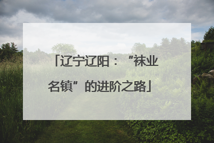 辽宁辽阳：“袜业名镇”的进阶之路
