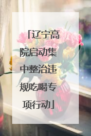 辽宁高院启动集中整治违规吃喝专项行动