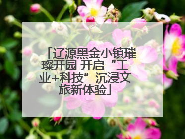 辽源黑金小镇璀璨开园 开启“工业+科技”沉浸文旅新体验