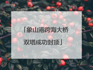 象山港跨海大桥双塔成功封顶
