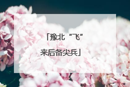 豫北“飞”来后备尖兵