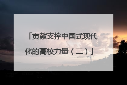 贡献支撑中国式现代化的高校力量（二）