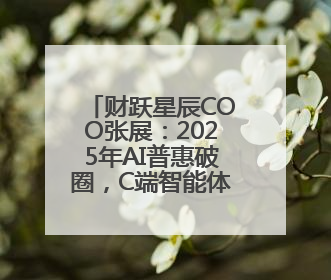 财跃星辰COO张展：2025年AI普惠破圈，C端智能体应用成金融转型关键
