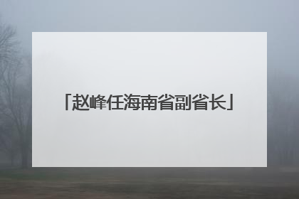 赵峰任海南省副省长