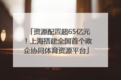 资源配置超65亿元！上海搭建全国首个政企协同体育资源平台