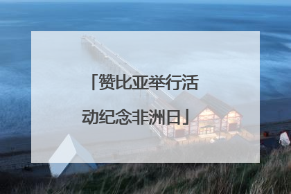 赞比亚举行活动纪念非洲日