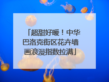 超甜好暖！中华巴洛克街区花卉墙画浪漫指数拉满