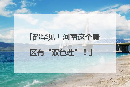 超罕见！河南这个景区有“双色莲”！