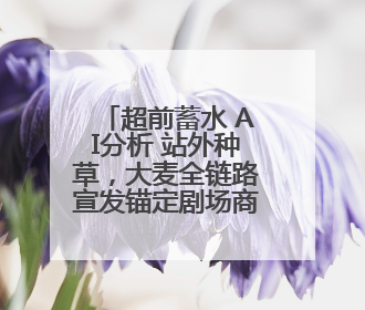 超前蓄水 AI分析 站外种草，大麦全链路宣发锚定剧场商家售出