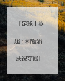 足球丨英超：利物浦庆祝夺冠