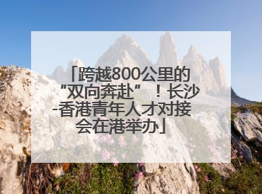 跨越800公里的“双向奔赴”！长沙-香港青年人才对接会在港举办