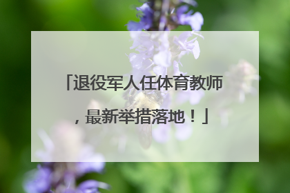 退役军人任体育教师，最新举措落地！