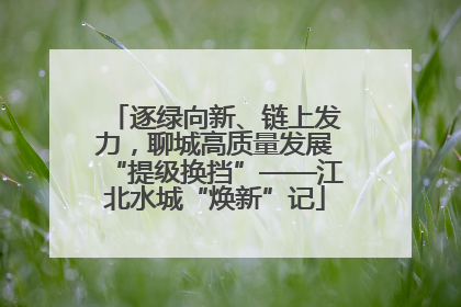 逐绿向新、链上发力，聊城高质量发展“提级换挡”——江北水城“焕新”记