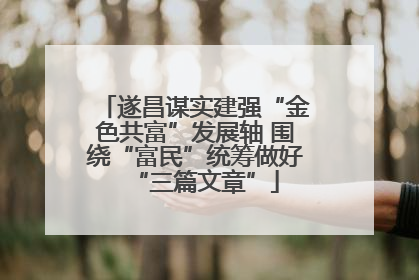 遂昌谋实建强“金色共富”发展轴 围绕“富民”统筹做好“三篇文章”