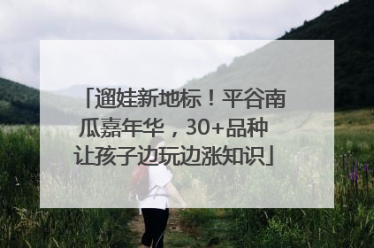 遛娃新地标！平谷南瓜嘉年华，30+品种让孩子边玩边涨知识