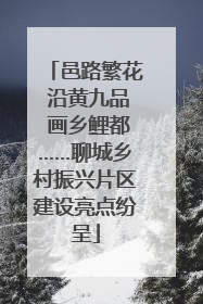 邑路繁花 沿黄九品 画乡鲤都……聊城乡村振兴片区建设亮点纷呈