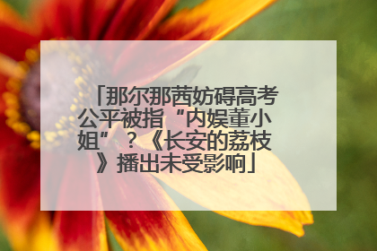 那尔那茜妨碍高考公平被指“内娱董小姐”？《长安的荔枝》播出未受影响