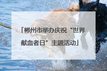 郴州市举办庆祝“世界献血者日”主题活动